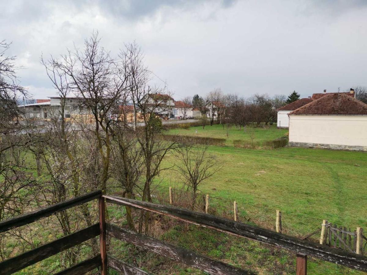 Vila Milica Kraljevo Exterior foto