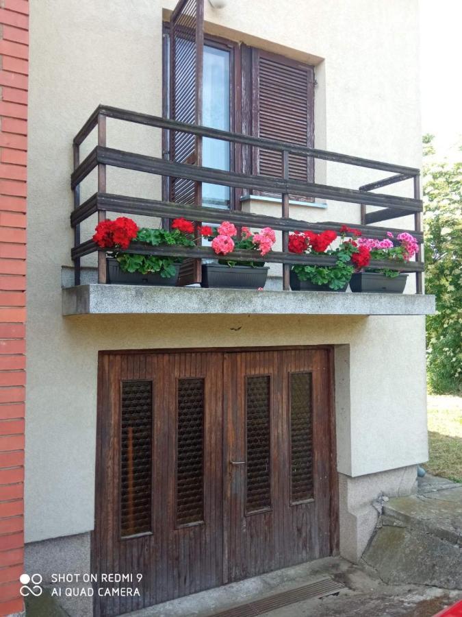 Vila Milica Kraljevo Exterior foto